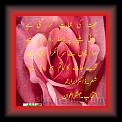 Mohabbat 02vv * 12.05.2007 * 420 x 508 * (36KB)
